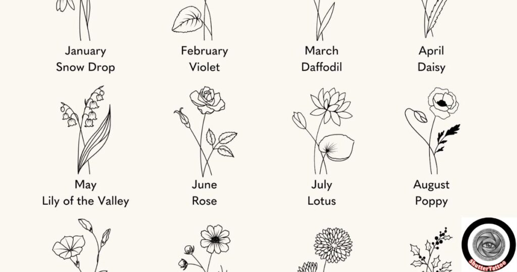 Discover Hidden Meanings Behind Your Birth Flower