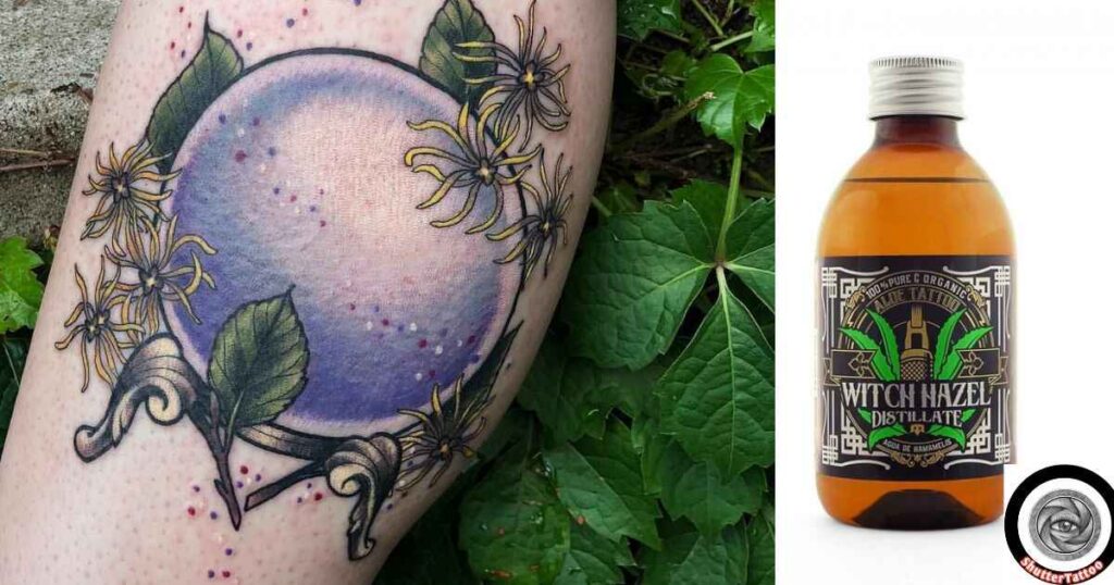 Choosing the Right Witch Hazel Product for Your Tattoo
