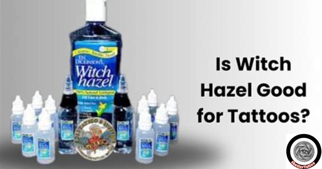 The Natural Healing Power of Witch Hazel